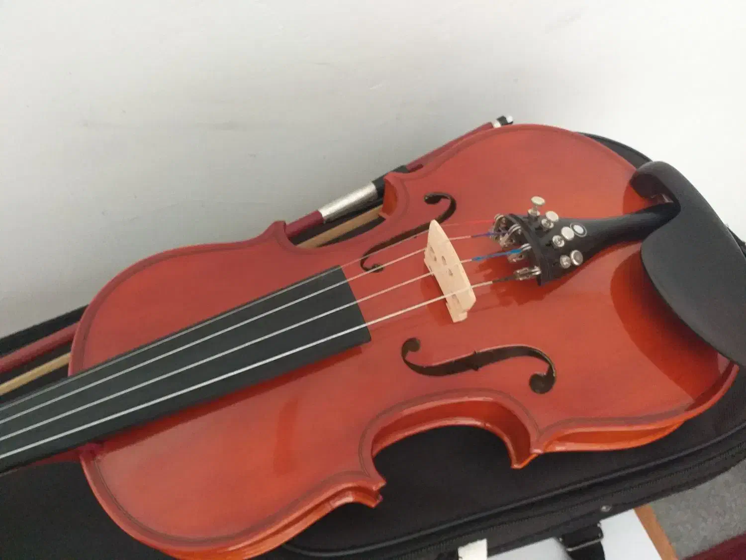 ویولن|ویولن|سنندج, |دیوار