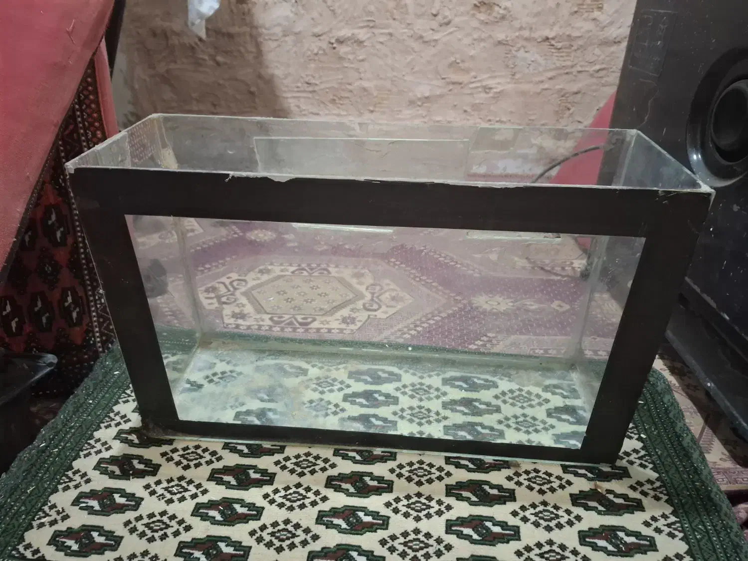 اکفاریوم در حد نو|ماهی|سبزوار, هویزه|دیوار