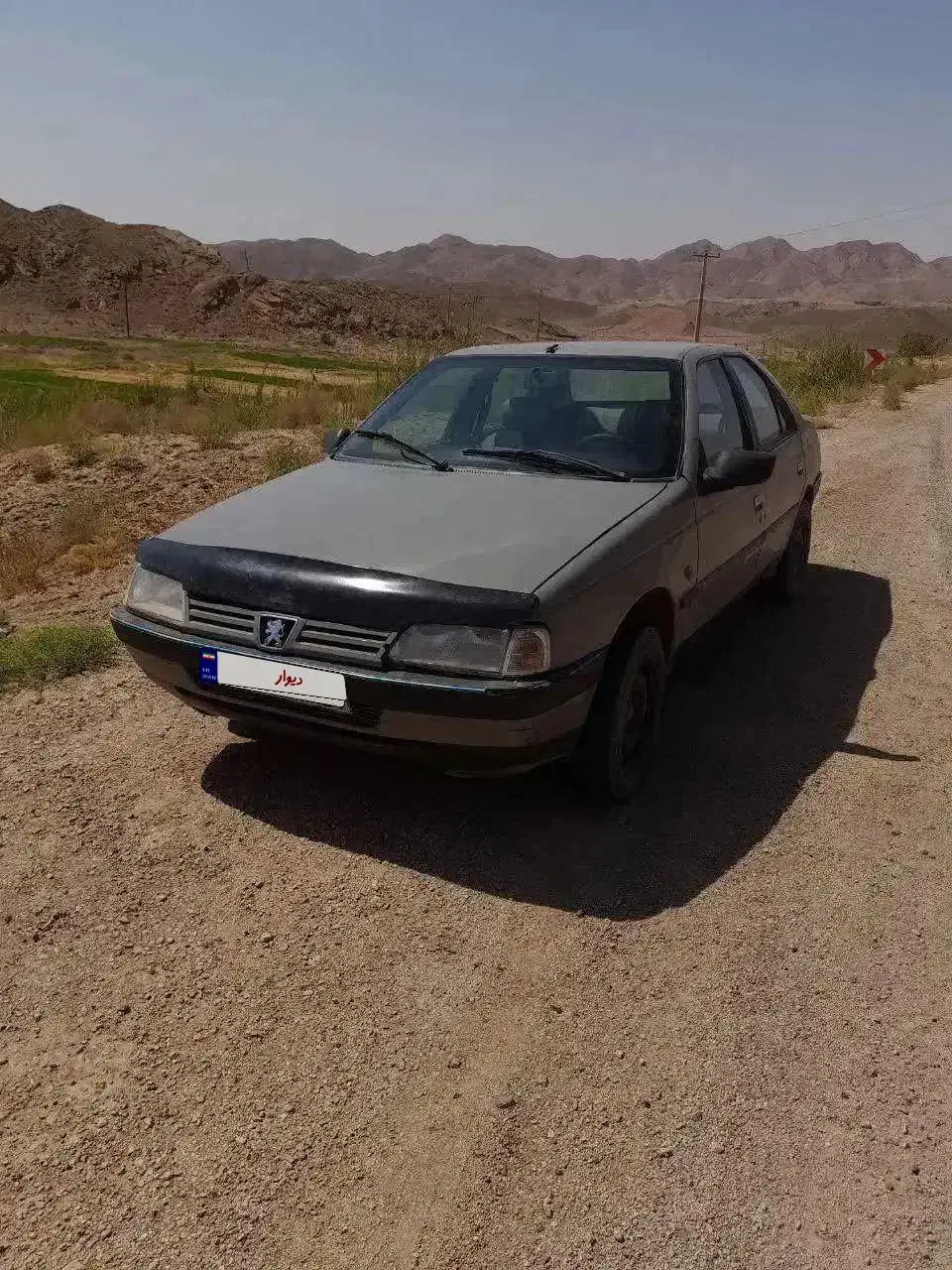 پژو اردی|خودرو سواری و وانت|بیرجند, |دیوار