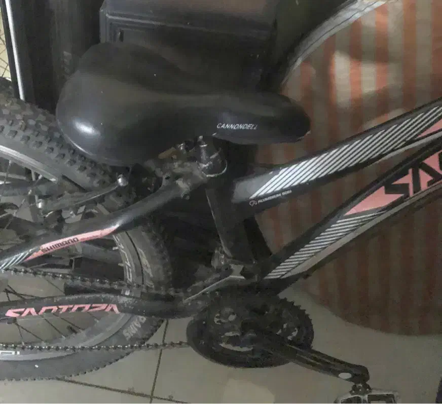 دوچرخه ۲۴ و ۱۶|دوچرخه، اسکیت، اسکوتر|قزوین, |دیوار