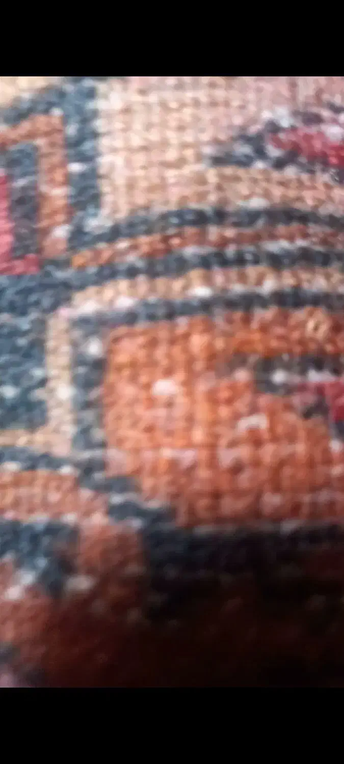 فروش|فرش|هچیرود, |دیوار