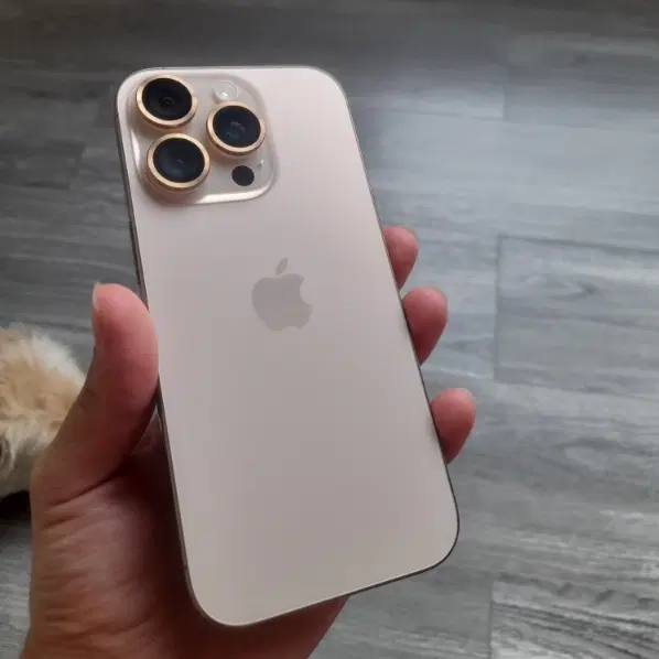 iPhone 16 pro|موبایل|تهران, امانیه|دیوار