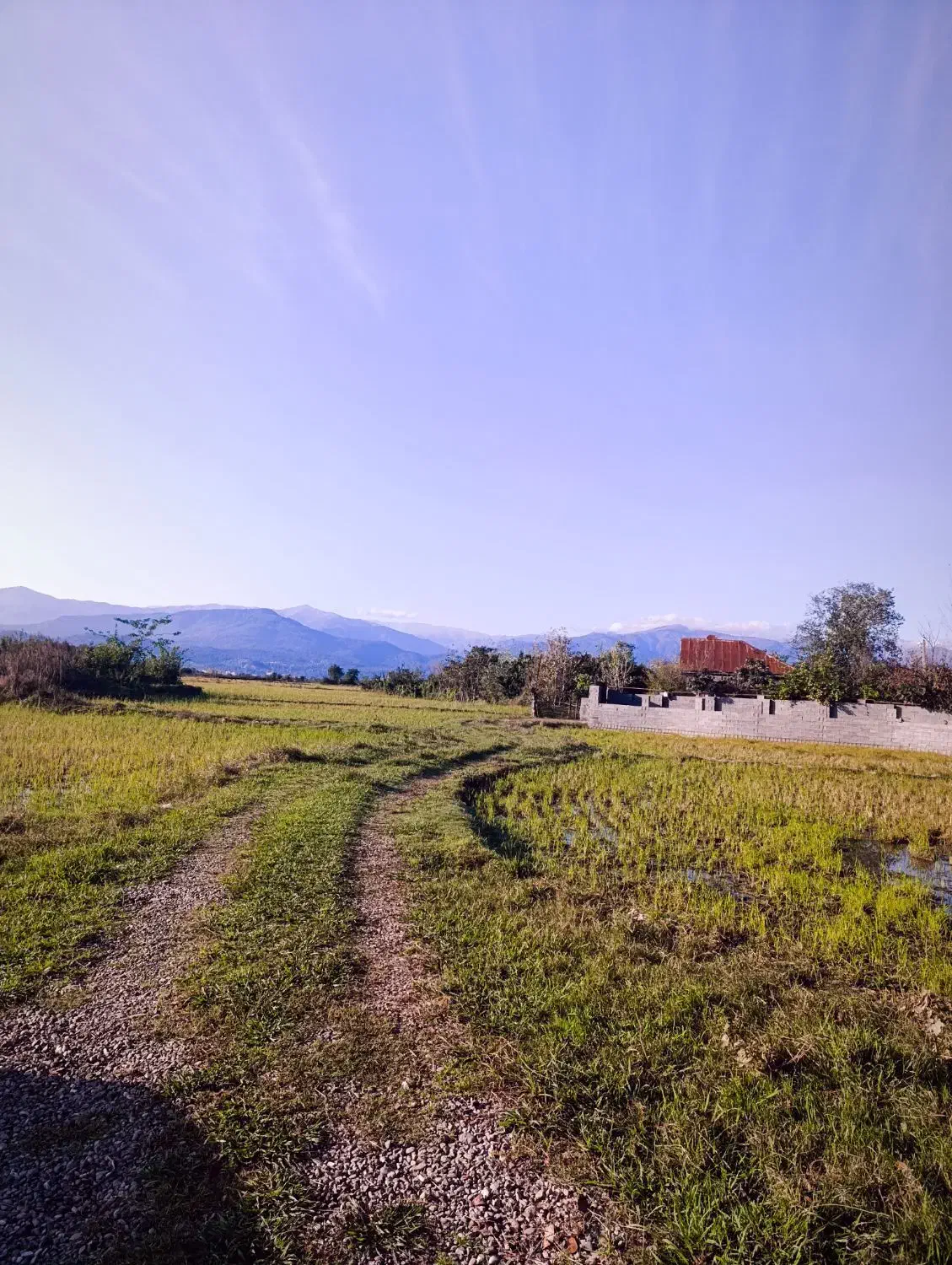 ۵۰۰متر داخل بافت دور دیوار|فروش زمین و ملک کلنگی|احمدسرگوراب, |دیوار