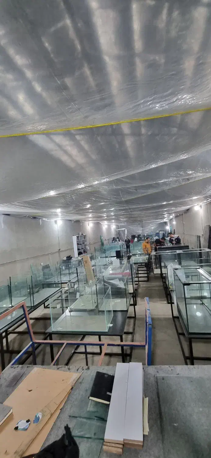 اکواریوم ریملس تولید مستقیم بدون واسطه|ماهی|تهران, وردآورد|دیوار