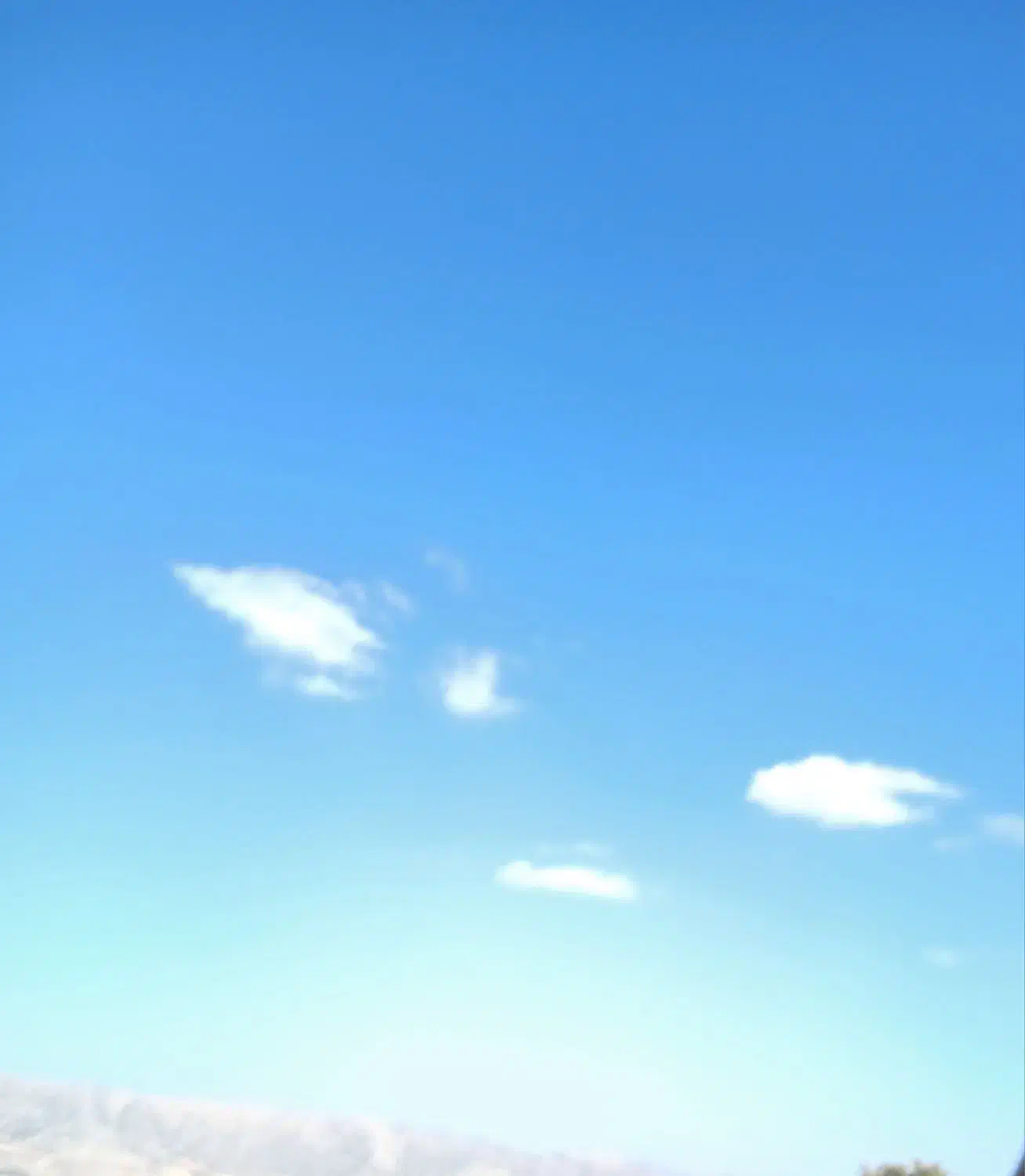 نیازمند ضامن|فعالیت داوطلبانه|دالاهو, |دیوار