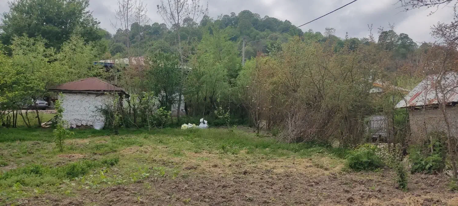 زمین ماده 4 250 متر فروش فوری|فروش زمین و ملک کلنگی|ماکلوان, |دیوار