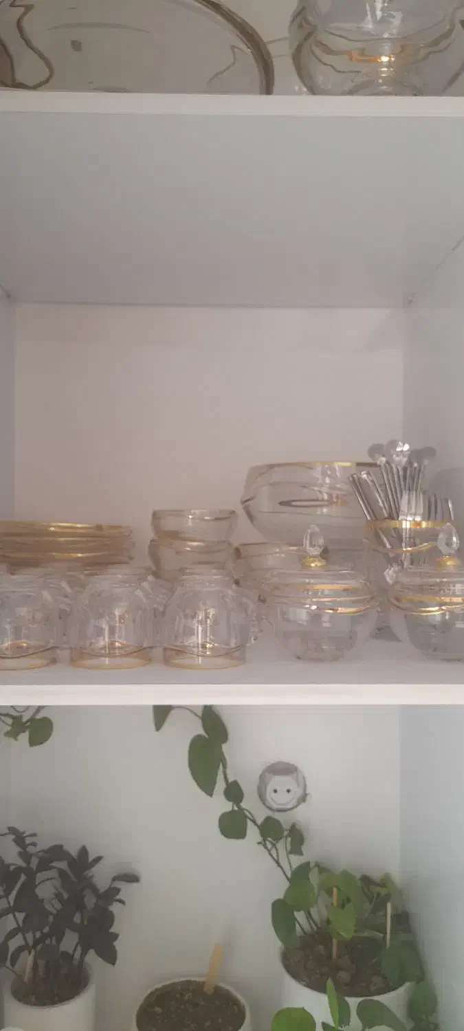 سرویس پذیرایی|ظروف سرو و پذیرایی|تهران, سازمان برنامه جنوبی|دیوار