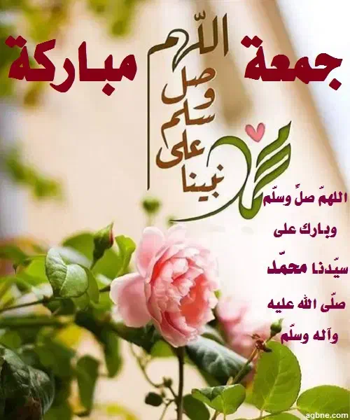 نیاز ب وام دارم|فعالیت داوطلبانه|اهواز, اهواز|دیوار
