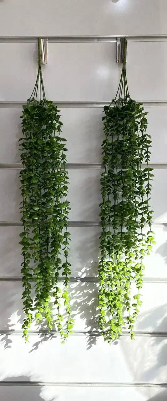 شمشاد|گل مصنوعی|تبریز, |دیوار