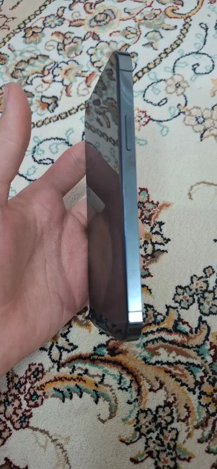 ایفون ۱۲ پرو|موبایل|تربت‌حیدریه, قائم|دیوار