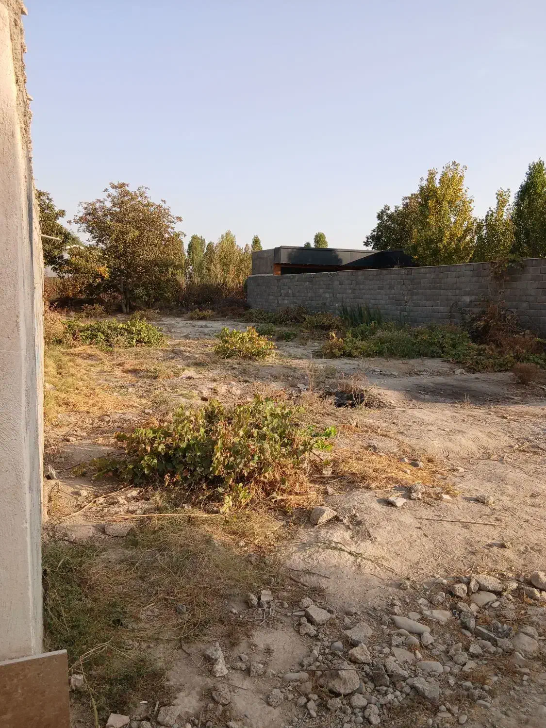 ۵۰۰مترباغچه سهیلیه سنقرآباد خیابان بنفشه|فروش زمین و ملک کلنگی|رامجین, |دیوار