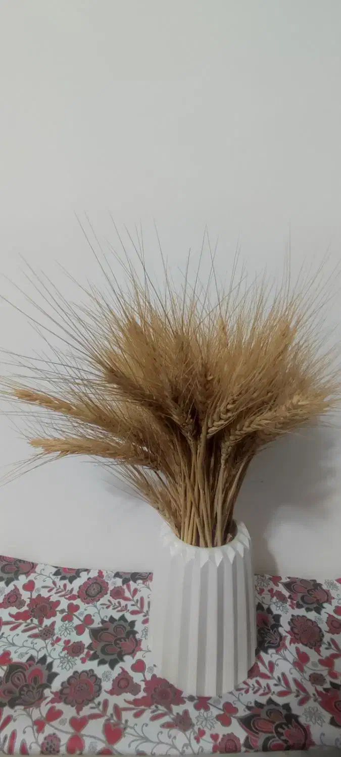 خرس تدی|مجسمه، تندیس، ماکت|نجف‌آباد, سعدی|دیوار