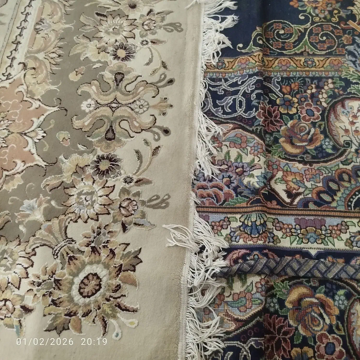 فرش ها|فرش|چابهار, |دیوار