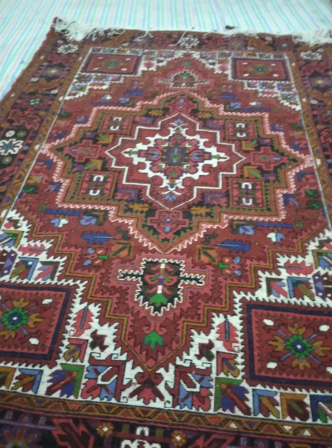 فرش 6متری|فرش|اهر, |دیوار