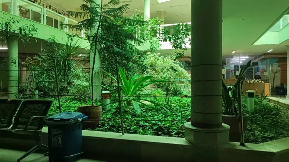 دنبال کار هستم|خدمات نظافت|کرمان, |دیوار