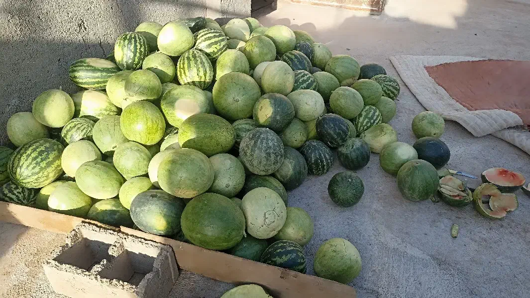 میوه تازه|خوردنی و آشامیدنی|میان جلگه, |دیوار