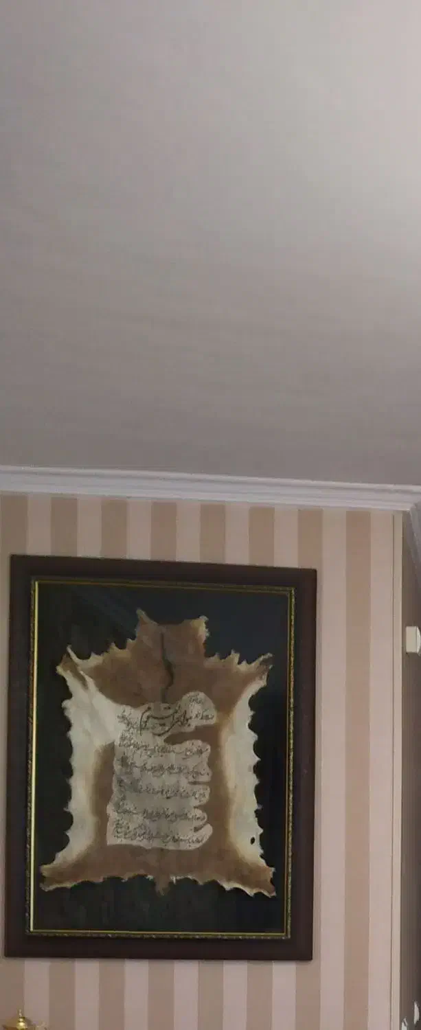 تابلو پوست|تابلو، نقاشی، عکس|گلبهار, شهر جدید گلبهار|دیوار