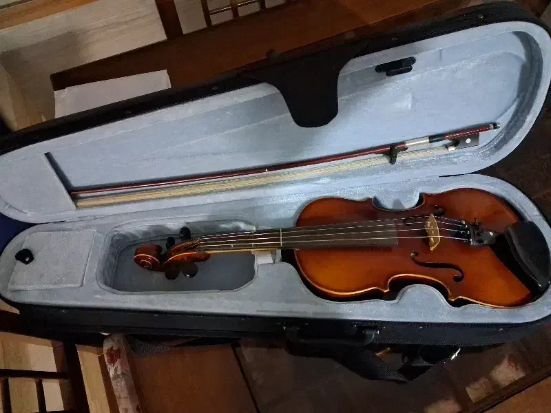 ویالن ۳/۴|ویولن|زنجان, |دیوار