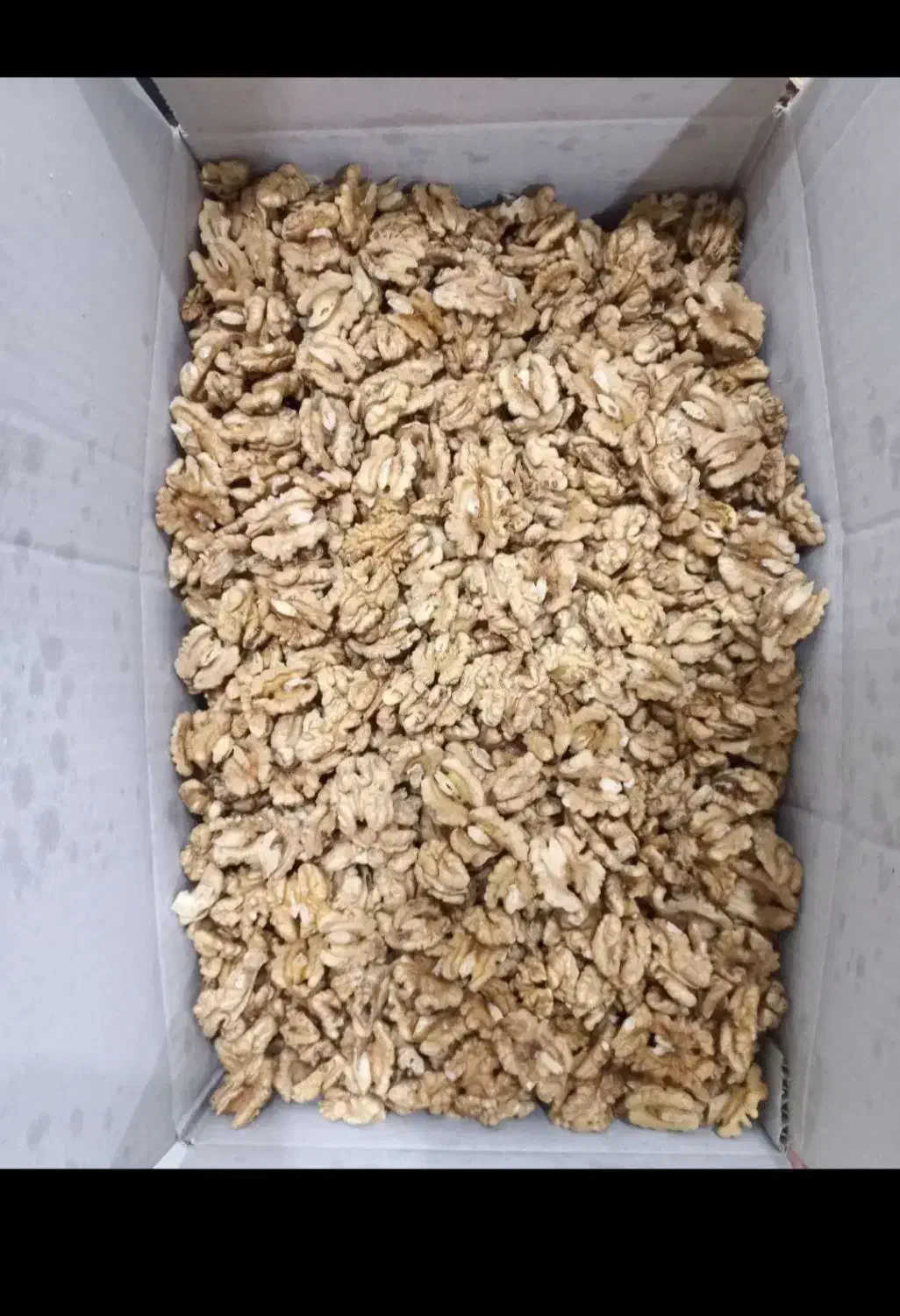 گردو|عمده‌فروشی|سهند, |دیوار