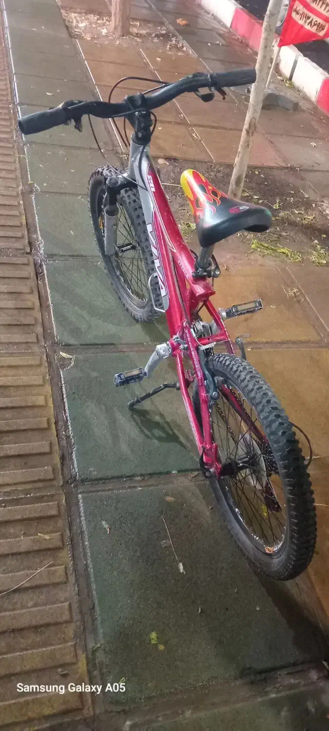 دوچرخه حرفهای تمام آلمینیوم ویوا|دوچرخه، اسکیت، اسکوتر|الوند, |دیوار