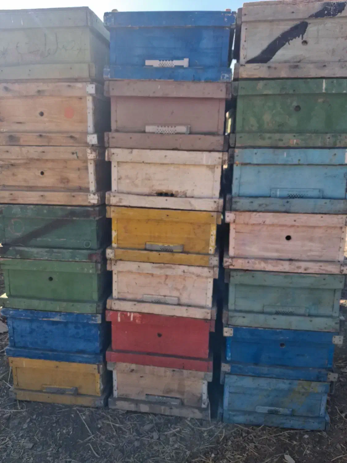 کندو زنبور|حیوانات مزرعه|صحنه, |دیوار