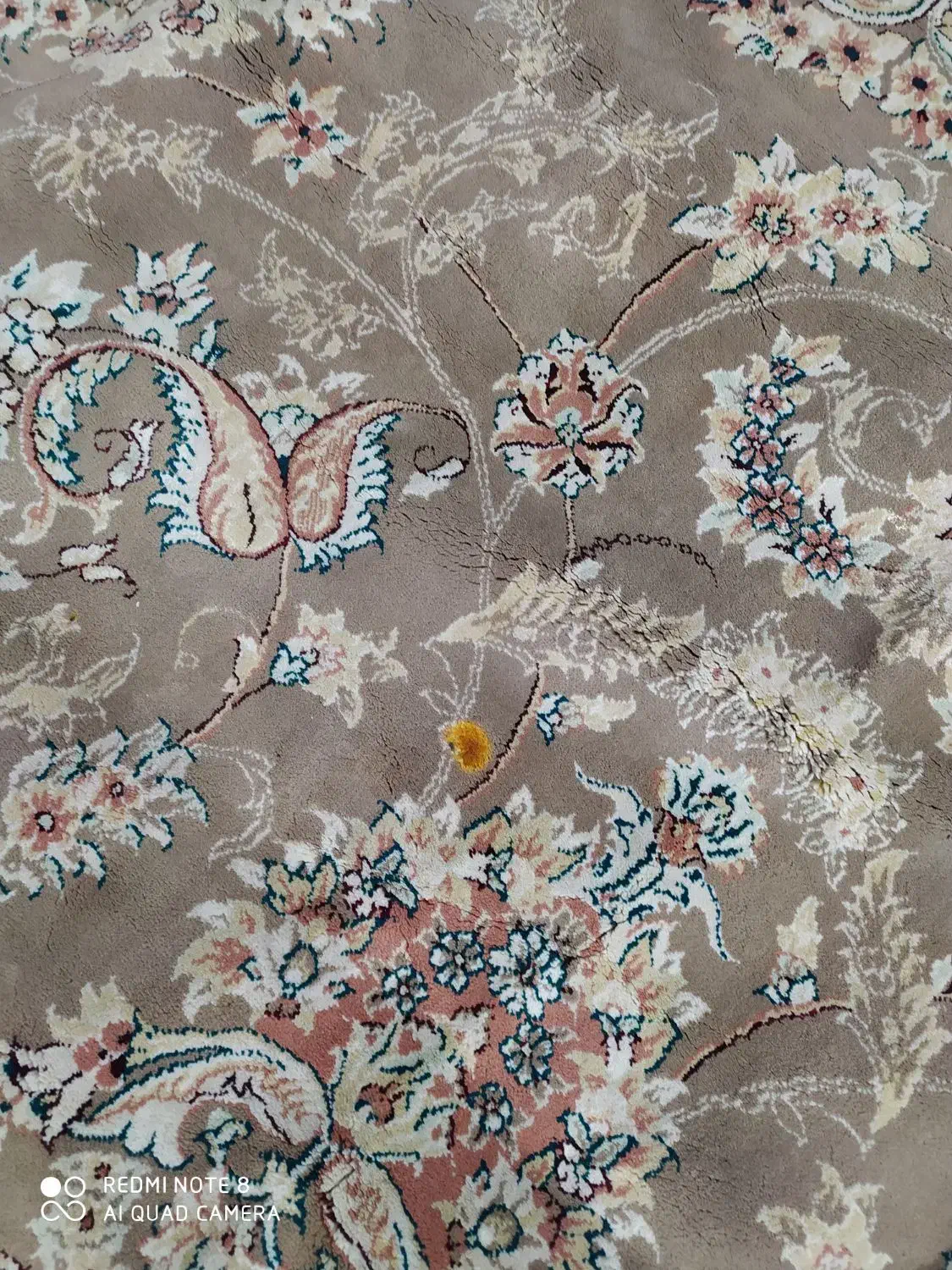 یک جفت فرش 12 متری گردویی|فرش|قم, شهرک فاطمیه|دیوار