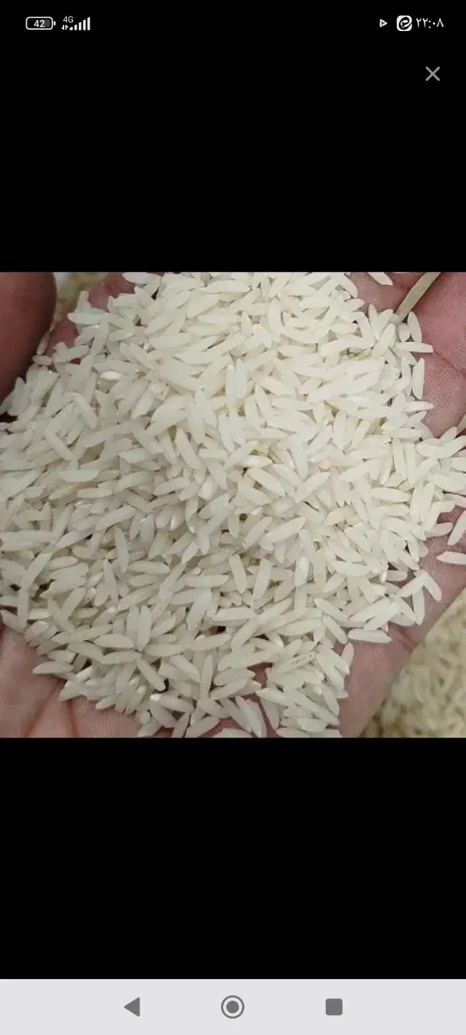 طلا|حراج|دورود, |دیوار