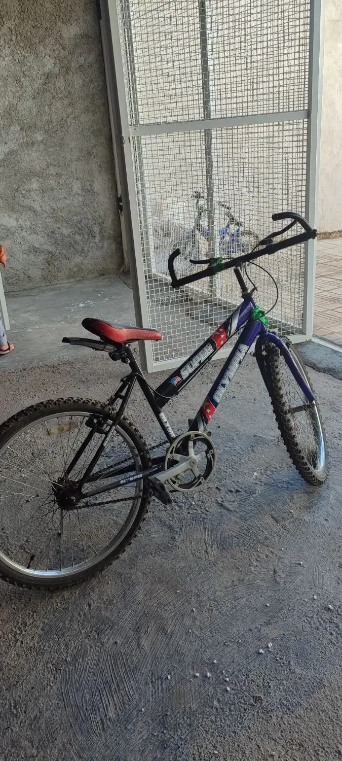 دوچرخه المپیا اصل جنس بدنه خیلی قوی سایز 24|دوچرخه، اسکیت، اسکوتر|کوهدشت, |دیوار