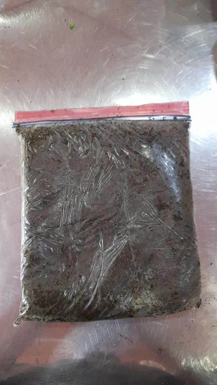 نیرو خانم مغازه سبزی خردکنی|استخدام بازاریابی و فروش|کاشان, قطب راوندی|دیوار