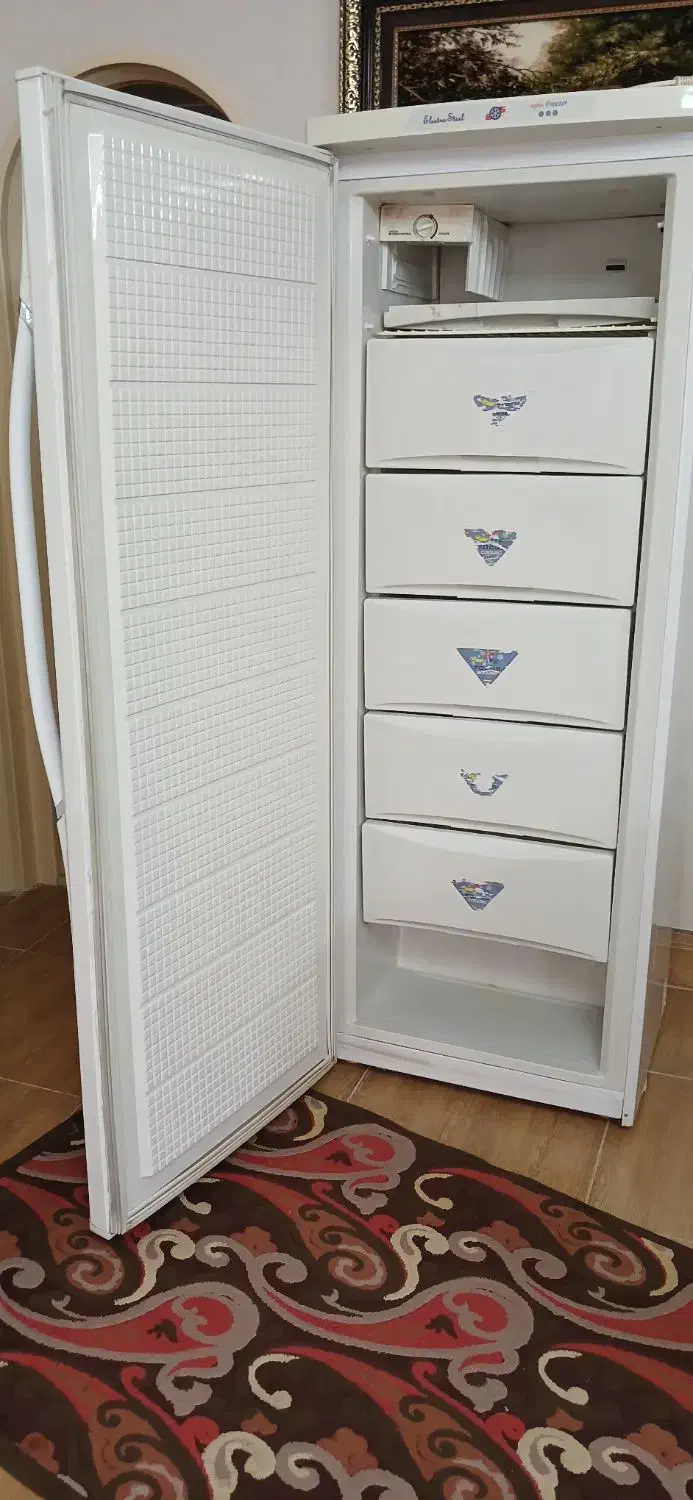 یخچال فریزر دو قلو الکترواستیل دست دوم|یخچال و فریزر|لنجان, |دیوار