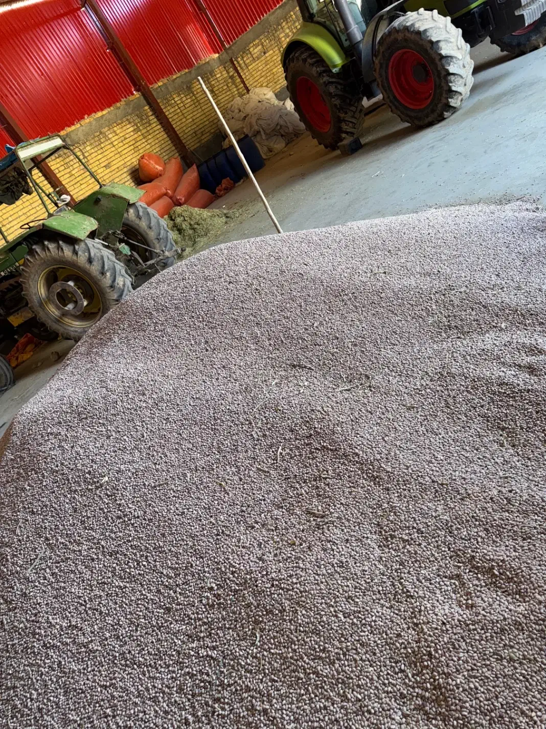 لوبیا چیتی|عمدهفروشی|پاسارگاد, |دیوار