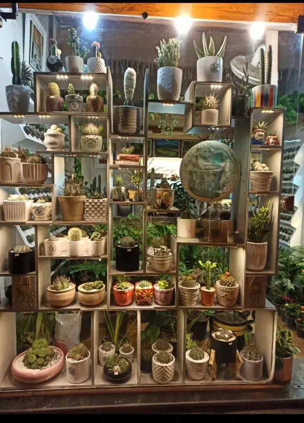 ویترین شیک برای تمام کارهای ویترینی|بوفه، ویترین، کنسول|رشت, شهرک قدس|دیوار