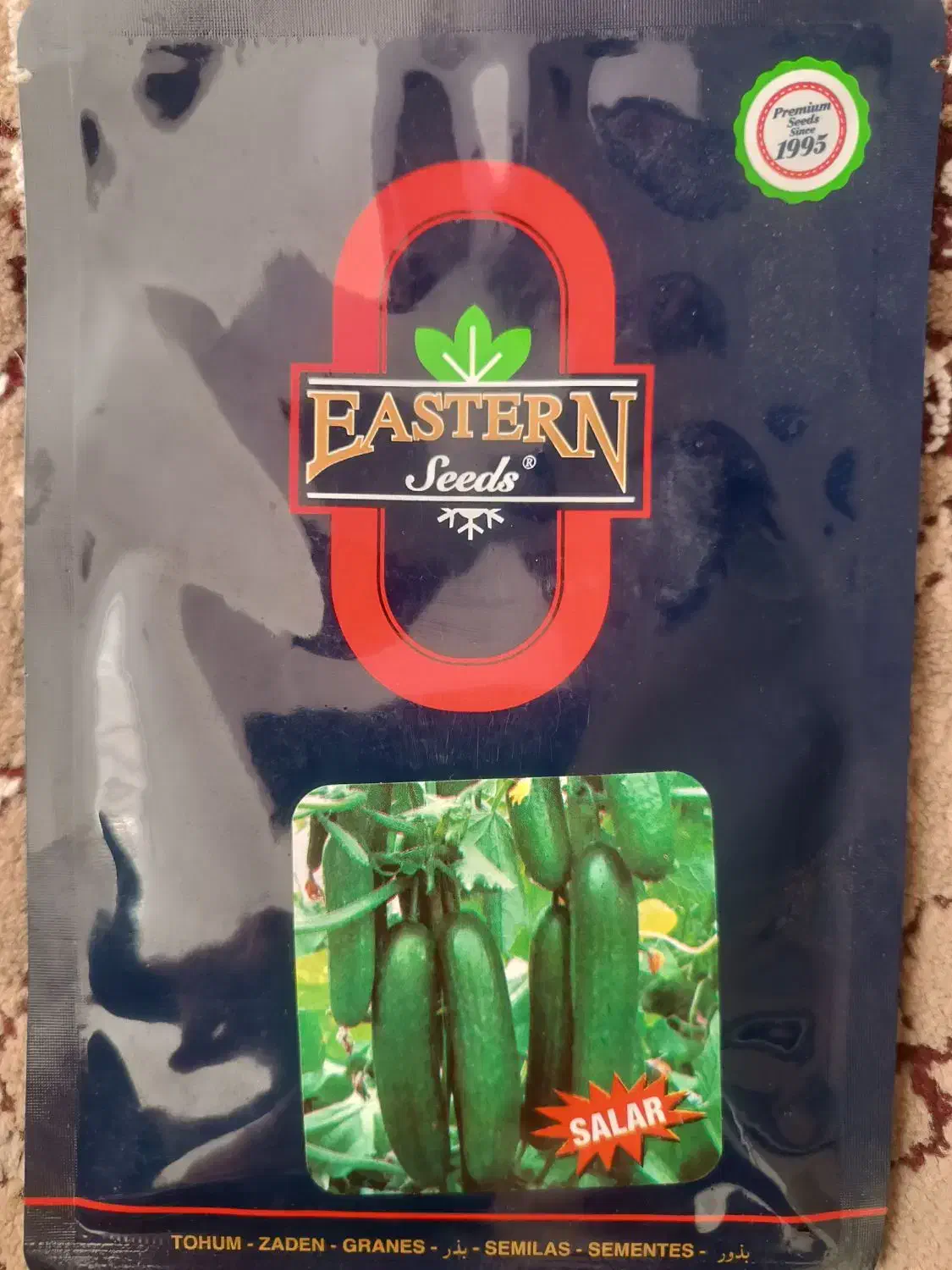 بذر خیار گلخانه ای|گل و گیاه طبیعی|کاشمر, |دیوار