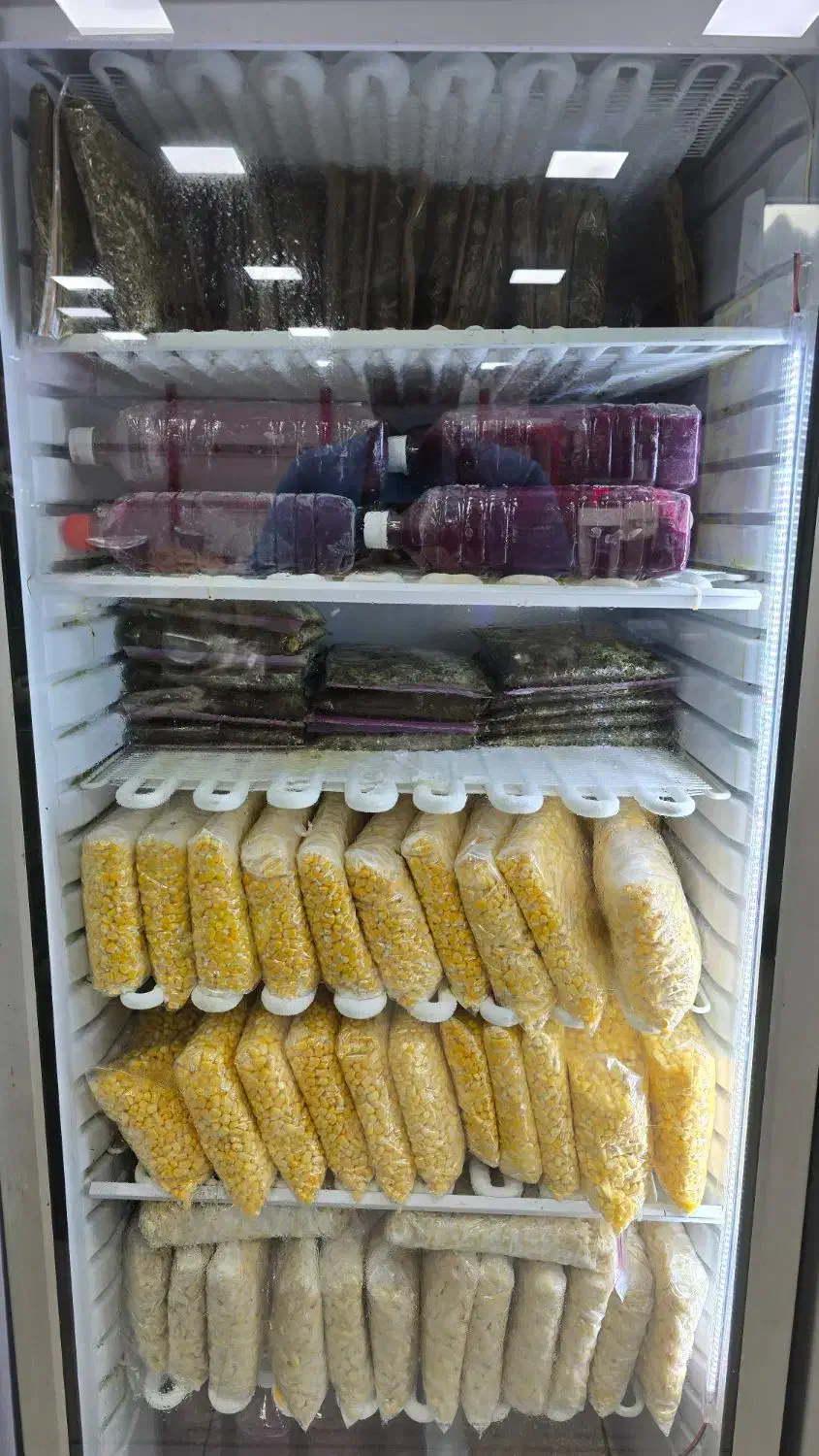 پخش و فروش سبزیجات آماده (عمده و خرده)|خوردنی و آشامیدنی|کرج, عظیمیه|دیوار