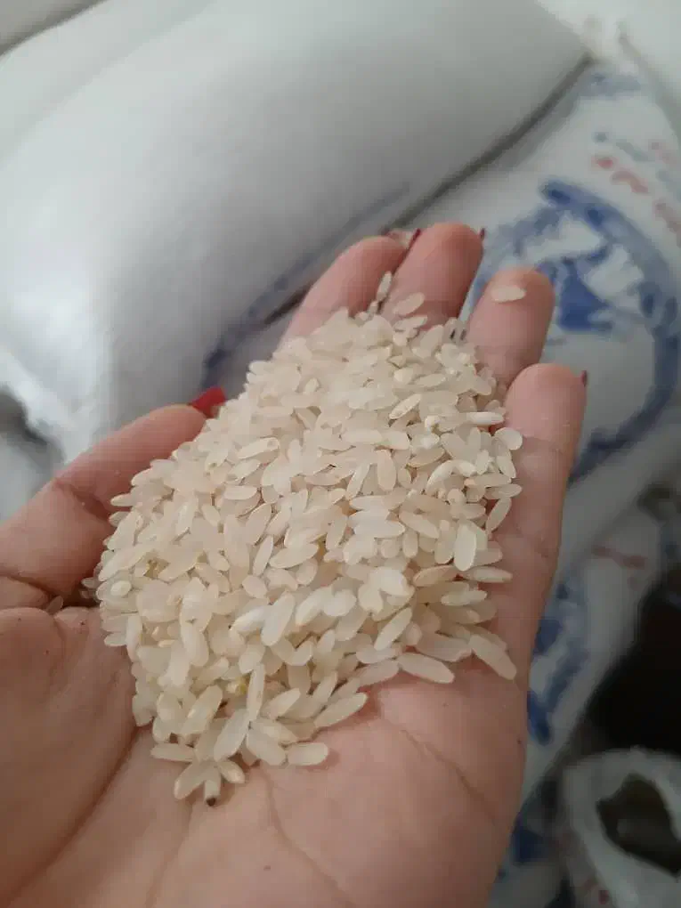 برنج کامفیروزی درجه یک وخوش طعم|خوردنی و آشامیدنی|شیراز, نیایش|دیوار