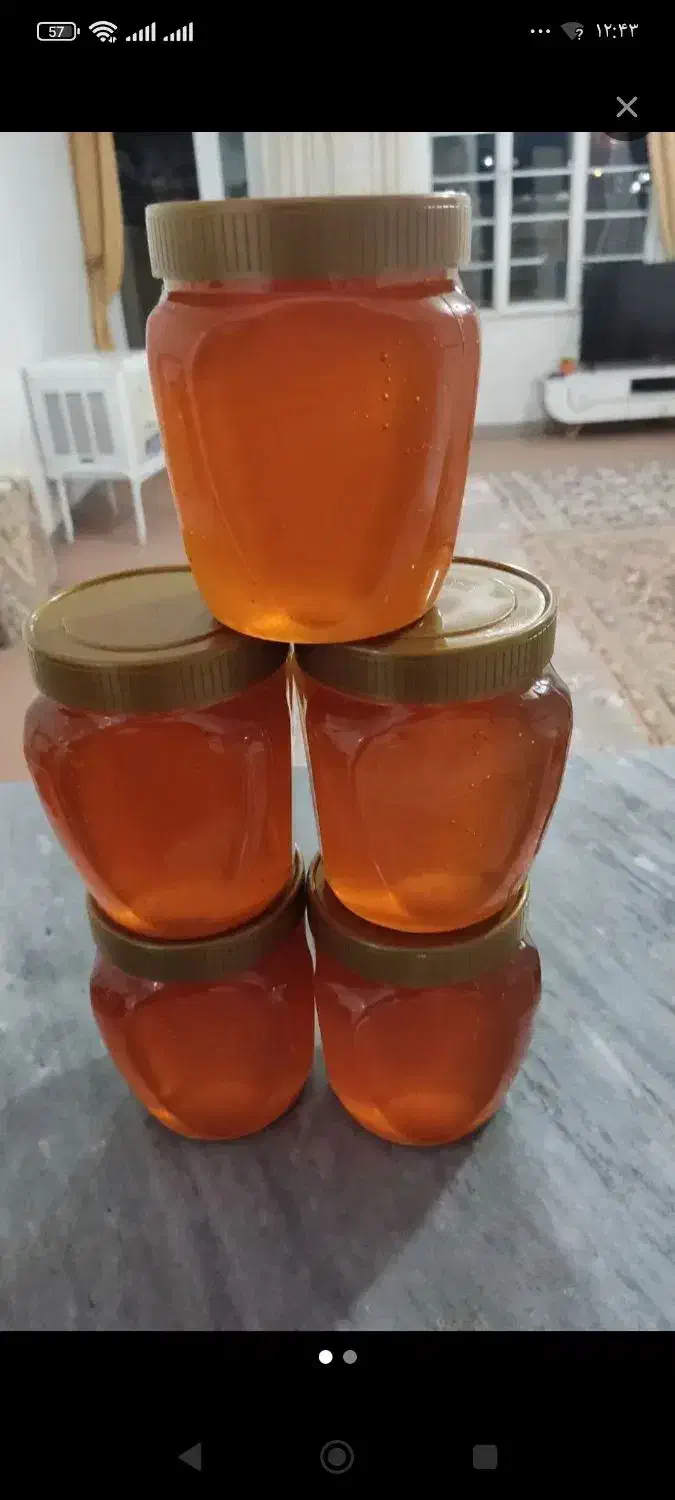 زنبور|گل و گیاه طبیعی|امام, |دیوار