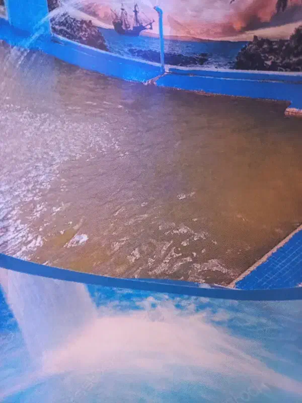 استخر vip خصوصی و خانوادگی در سرعین اب معدنی طبیعی|غواصی و ورزش‌های آبی|سرعین, |دیوار