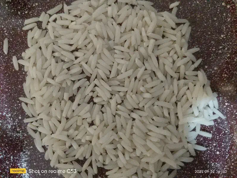 برنج طارم دم سیاه|خوردنی و آشامیدنی|کلاله, |دیوار