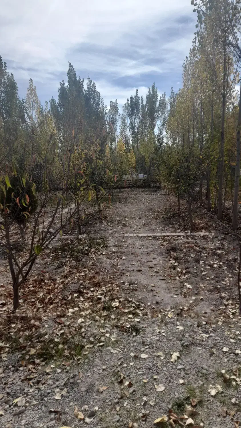 باغ واقع در اخر گلمغان|فروش زمین و ملک کلنگی|اردبیل, |دیوار