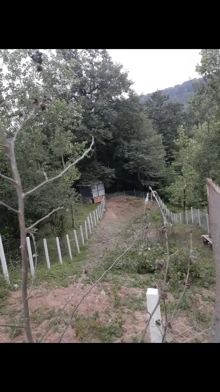 فروش زمین ۳۰۰متری روستای بهدان شهرک صنعتی|فروش زمین و ملک کلنگی|سنگر, |دیوار