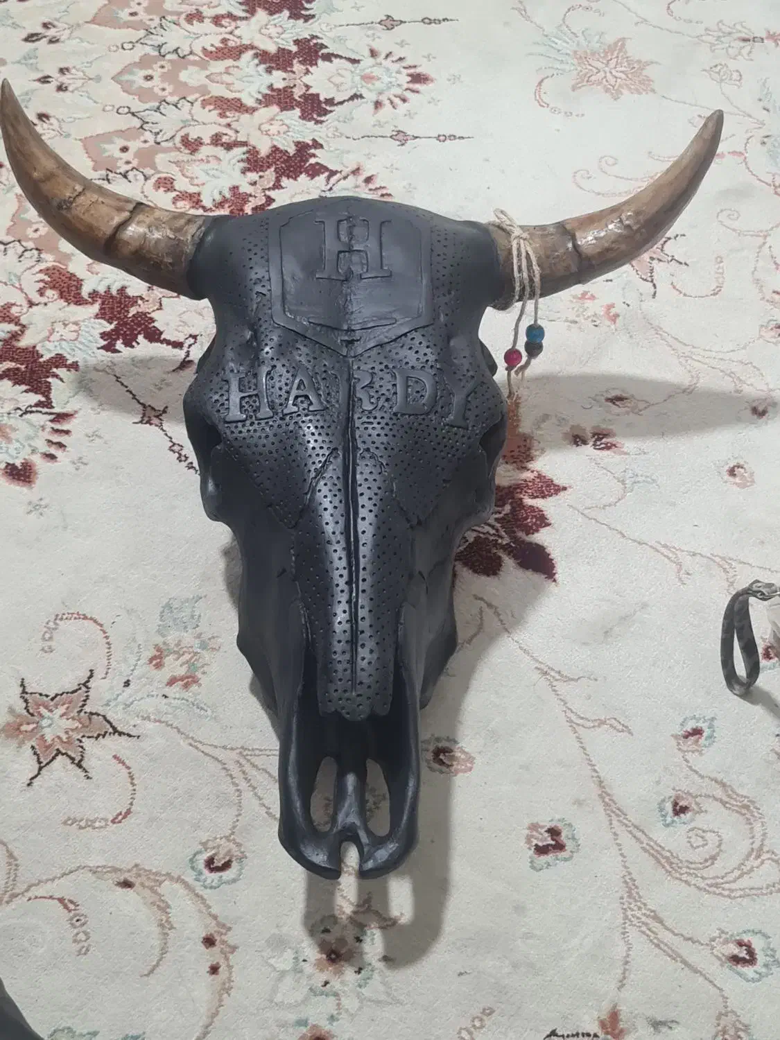 جمجمه هاردی۹۰۰|کلکسیون اشیاء عتیقه|اراک, |دیوار