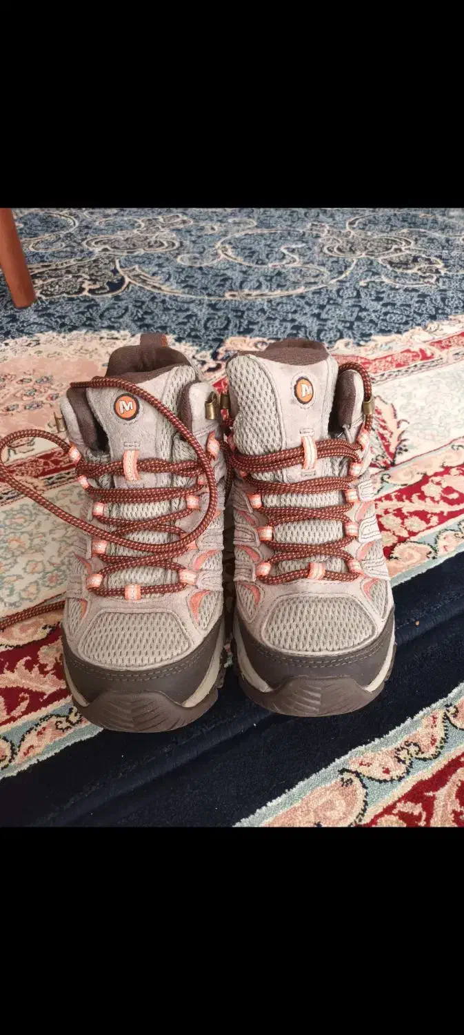 کفش|کیف، کفش، کمربند|شاهین‌شهر, طالقانی|دیوار