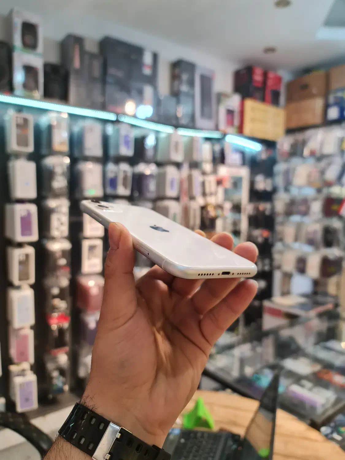 Iphone 11 128gig cha 79%|موبایل|قزوین, |دیوار