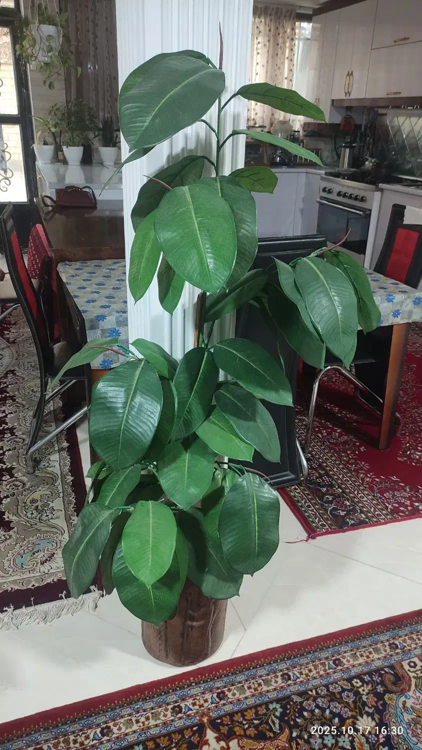 درختچه و گل فومی|گل مصنوعی|بیرجند, |دیوار