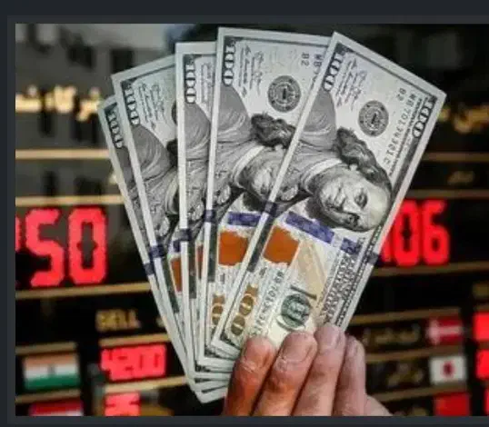 گم کردن دلار|اشیا|سقز, |دیوار