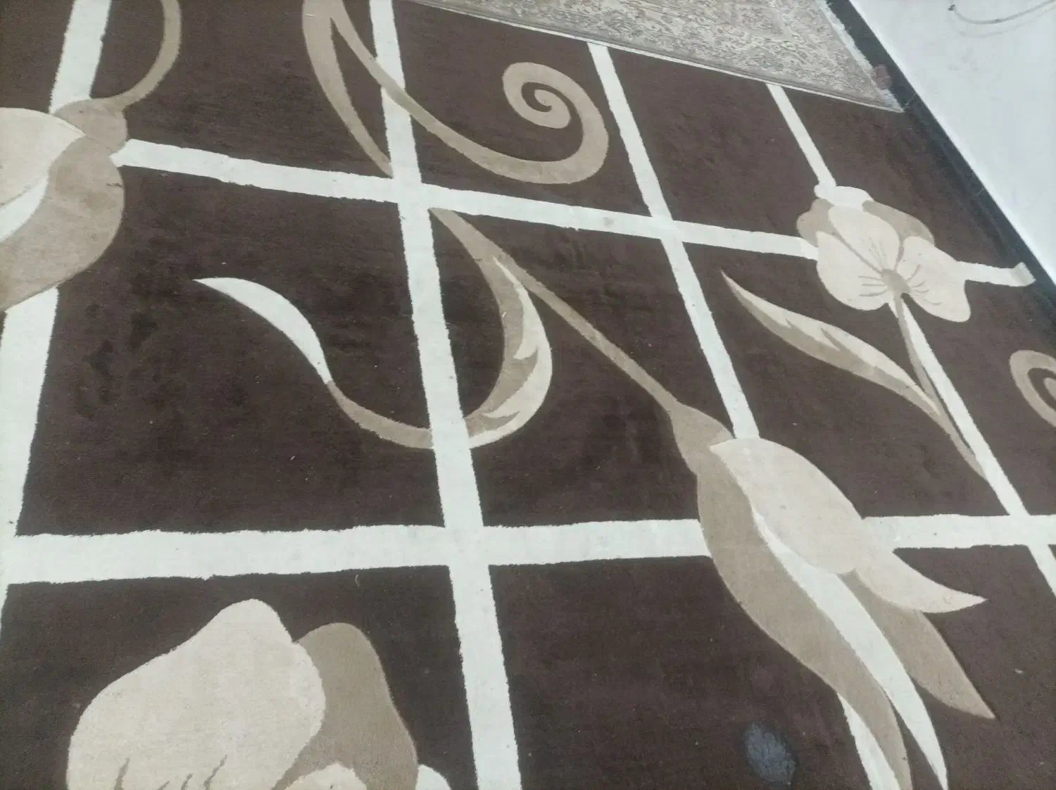 گلیم فرش|فرش|شوش, |دیوار