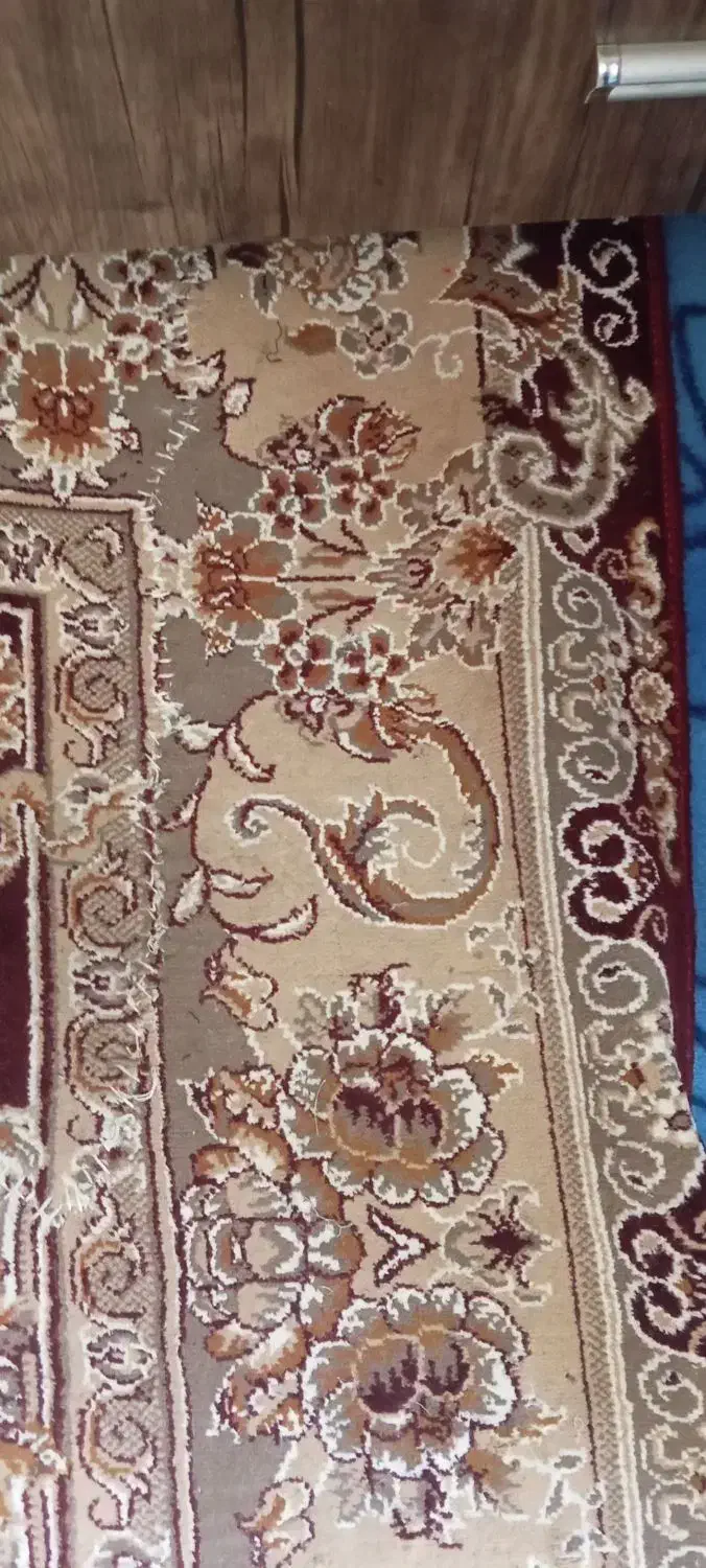 قالی۲/۳|فرش|چناران, |دیوار