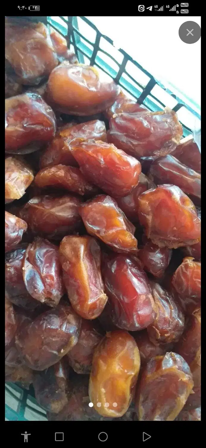 خرما|خوردنی و آشامیدنی|وحیدیه, |دیوار