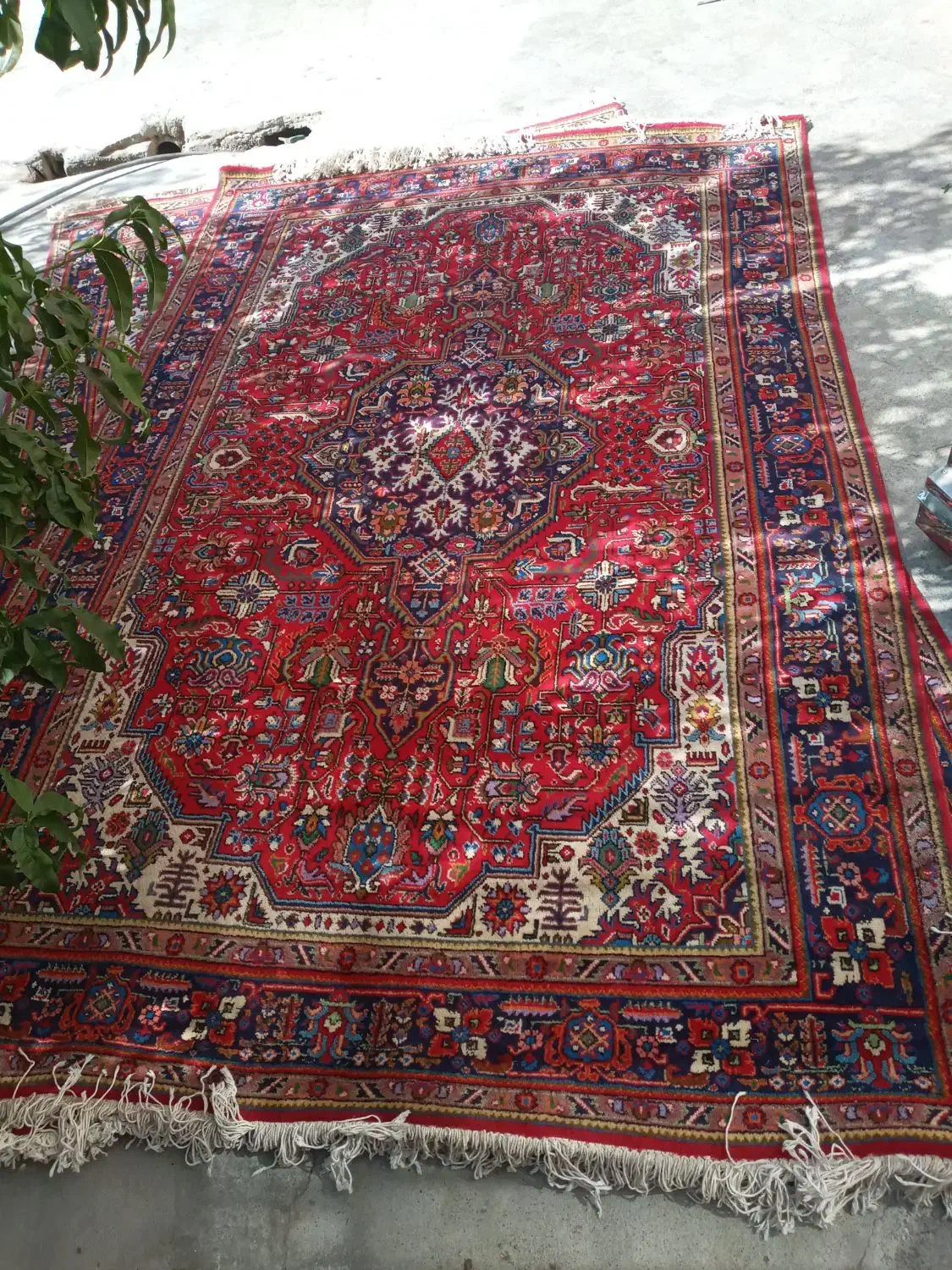 فرش|فرش|ارومیه, |دیوار