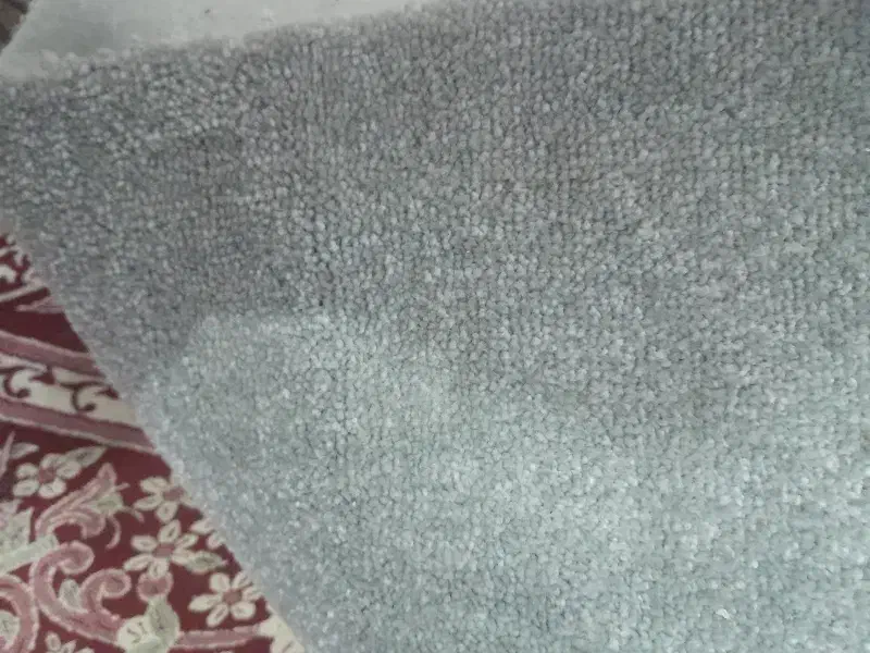 پالاز موکت دو عدد ۱۲ متری|موکت|گرگان, |دیوار